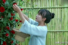 抖音教程百度云_抖音里是如何剪輯的