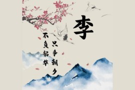 拼多多抖音短視頻教程_拼多多商家聊天可以帶抖音嗎