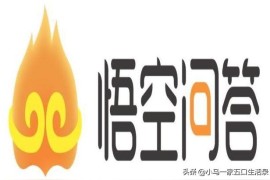 煎雞蛋抖音短視頻教程_肯德基里的煎蛋是怎么做的