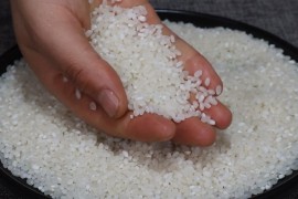 蒸米飯短視頻教程竅門_如何用碗蒸米飯