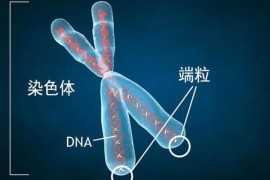 鞋帶縮短視頻教程_家里小孩總是拖拖拉拉