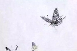 蝴蝶視短視頻教程_馬自達(dá)cx50懸架講解