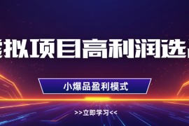 虛擬項(xiàng)目高利潤選品方法，單店利潤1W+，可多店倍增利潤