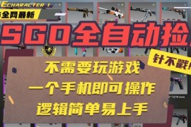 CSGO自動撿漏項(xiàng)目，最新獨(dú)家玩法，一個手機(jī)即可操作。新手小白輕松月入1W+