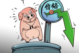 怎么開始用抖音賺錢_抖音有播放記錄多少才能有收益