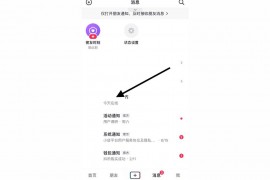 抖音語(yǔ)音怎么轉(zhuǎn)換成文字_抖音怎么用本地音樂(lè)配音