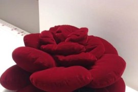 服裝創(chuàng)意短視頻教程_把你拍的荷花展示學(xué)習(xí)一下吧