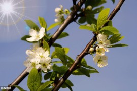 技術(shù)介紹短視頻教程_想要自學(xué)視頻剪輯應(yīng)該從哪方面入手