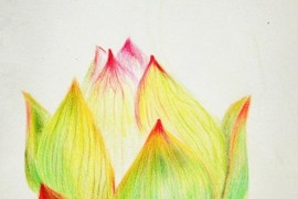 零基礎(chǔ)短視頻教程全集_五子棋布局教程零基礎(chǔ)