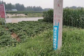 菏澤小男孩短視頻教程_在農(nóng)村一萬元能娶到媳婦嗎