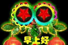 表情動(dòng)畫短視頻教程_怎樣收藏動(dòng)畫表情