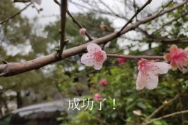 抖音賺錢玩法最新2022_搞什么副業(yè)掙錢