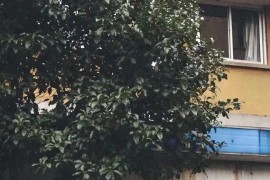 太想念文案怎么寫_關(guān)于穿裙子和褲子的文案