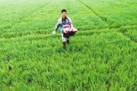 抖音副業(yè)干什么好做什么副業(yè)可以做到日賺200
