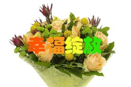早上好短視頻教程_如何給學(xué)生講早這個字