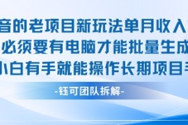 老項目新玩法單月收入2W小白有手就能操作長期項目