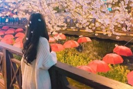 絲瓜無(wú)限短視頻教程_煎荷包蛋的步驟是什么