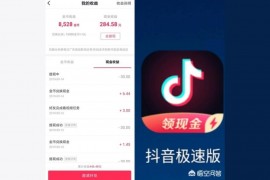今日頭條極速版多少金幣一元頭條極速版怎么不是10000個(gè)金幣一塊錢呀
