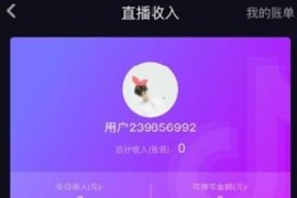 抖音賺錢有哪些方式可以提現(xiàn)到微信_抖音企業(yè)店可以提現(xiàn)到個人賬戶嗎