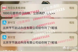 看抖音賺錢app下載安裝_什么是抖音