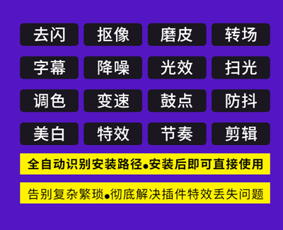 2021新版【Pr全套插件合集】中文一鍵安裝包 2021新版【Pr全套插件合集】中文一鍵安裝包 工具軟件