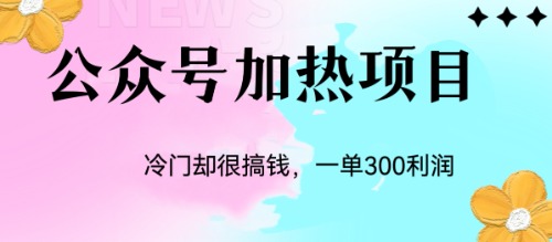 公眾號(hào)加熱項(xiàng)目：冷門玩法揭秘，每單可獲利潤300 項(xiàng)目分享