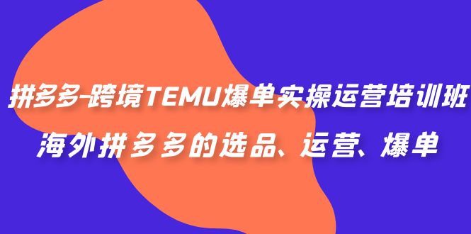 拼多多-跨境TEMU爆單實操運(yùn)營培訓(xùn)班，海外拼多多的選品、運(yùn)營、爆單 項目分享