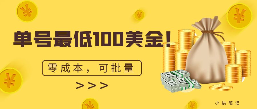 單號最低100美金，零成本，小白無腦操作 項目分享
