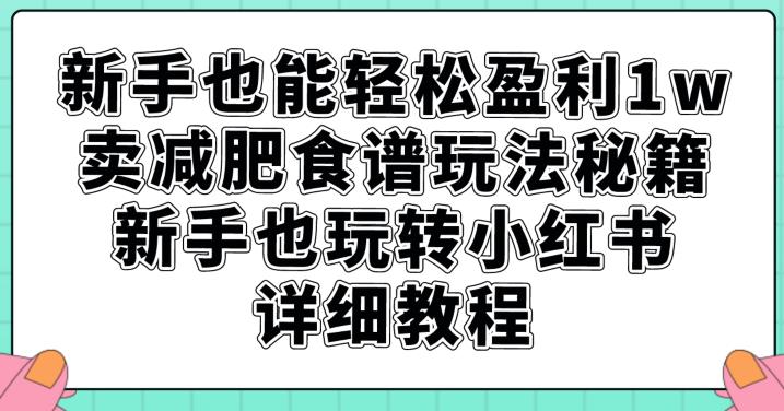 小白也能輕松盈利1W，賣減肥食譜玩法秘籍，新手也玩轉(zhuǎn)小紅書詳細教程【揭秘】 項目分享