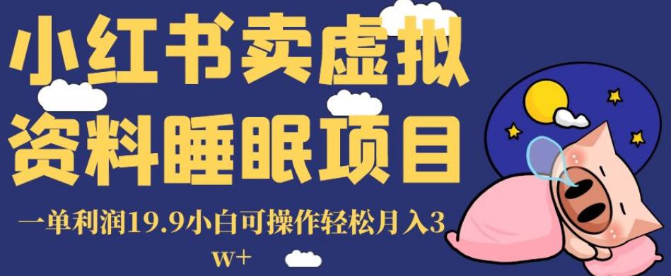 小紅書賣虛擬資料睡眠項(xiàng)目，一單利潤(rùn)19.9小白可操作輕松月入3W+【揭秘】 項(xiàng)目分享