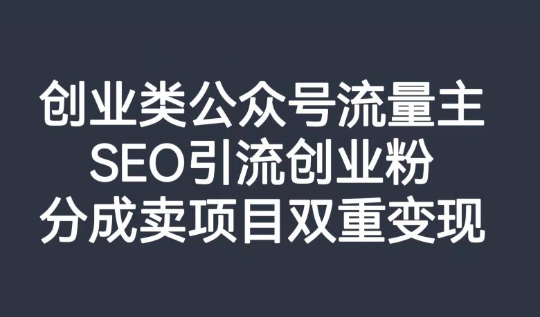 公眾號(hào)創(chuàng)業(yè)SEO引流玩法，打造高質(zhì)量流量池，雙重變現(xiàn)項(xiàng)目！ 項(xiàng)目分享