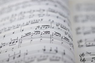 抖音免廣告小程序神器：告別廣告煩惱暢享沉浸刷視頻 抖音免廣告小程序神器：告別廣告煩惱暢享沉浸刷視頻 運營百科