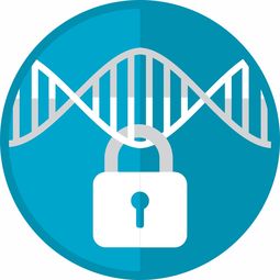 抖音收藏會被作者發(fā)現(xiàn)嗎知真相：用戶必看的隱藏機(jī)制與隱私設(shè)置解析 抖音收藏會被作者發(fā)現(xiàn)嗎知真相：用戶必看的隱藏機(jī)制與隱私設(shè)置解析 運營百科