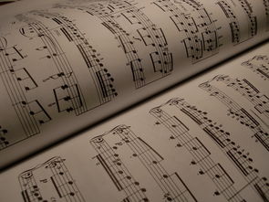 抖音我音樂怎么不見？原因解析與快速恢復(fù)方法一網(wǎng)打盡 抖音我音樂怎么不見？原因解析與快速恢復(fù)方法一網(wǎng)打盡 運(yùn)營百科