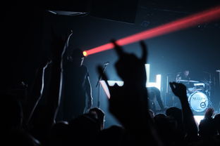抖音狼人之夜玩法攻略（狼人之間抖音版） 抖音狼人之夜玩法攻略（狼人之間抖音版） 運營百科