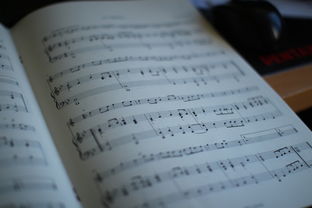 講解抖音玩法的書籍（抖音爆款書籍） 講解抖音玩法的書籍（抖音爆款書籍） 運(yùn)營(yíng)百科