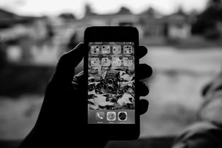 抖音賺錢玩法攻略視頻教學(xué)（抖音賺錢技巧全集app） 抖音賺錢玩法攻略視頻教學(xué)（抖音賺錢技巧全集app） 運營百科