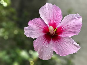 抖音賺錢(qián)抖音花,下一句怎么說(shuō)（抖音什么掙錢(qián)什么花） 抖音賺錢(qián)抖音花,下一句怎么說(shuō)（抖音什么掙錢(qián)什么花） 運(yùn)營(yíng)百科