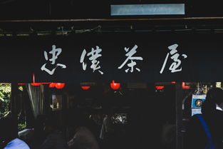 抖音宣傳店鋪新玩法文案（店鋪發(fā)抖音宣傳） 抖音宣傳店鋪新玩法文案（店鋪發(fā)抖音宣傳） 運營百科