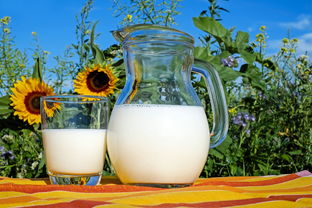 抖音最火維生素乳玩法（抖音賣的維生素有用嗎） 抖音最火維生素乳玩法（抖音賣的維生素有用嗎） 運(yùn)營(yíng)百科